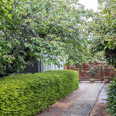 Silk Tree Studio - Steps To Cook Park Orange Extérieur photo
